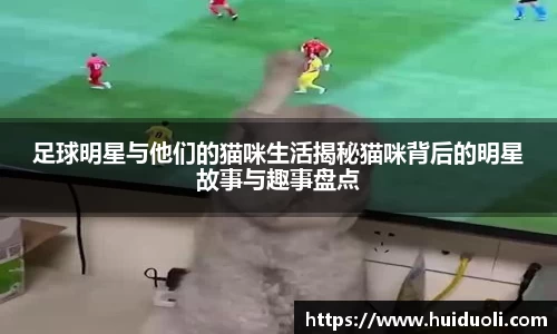 足球明星与他们的猫咪生活揭秘猫咪背后的明星故事与趣事盘点